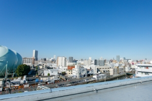 本社屋上からの眺め